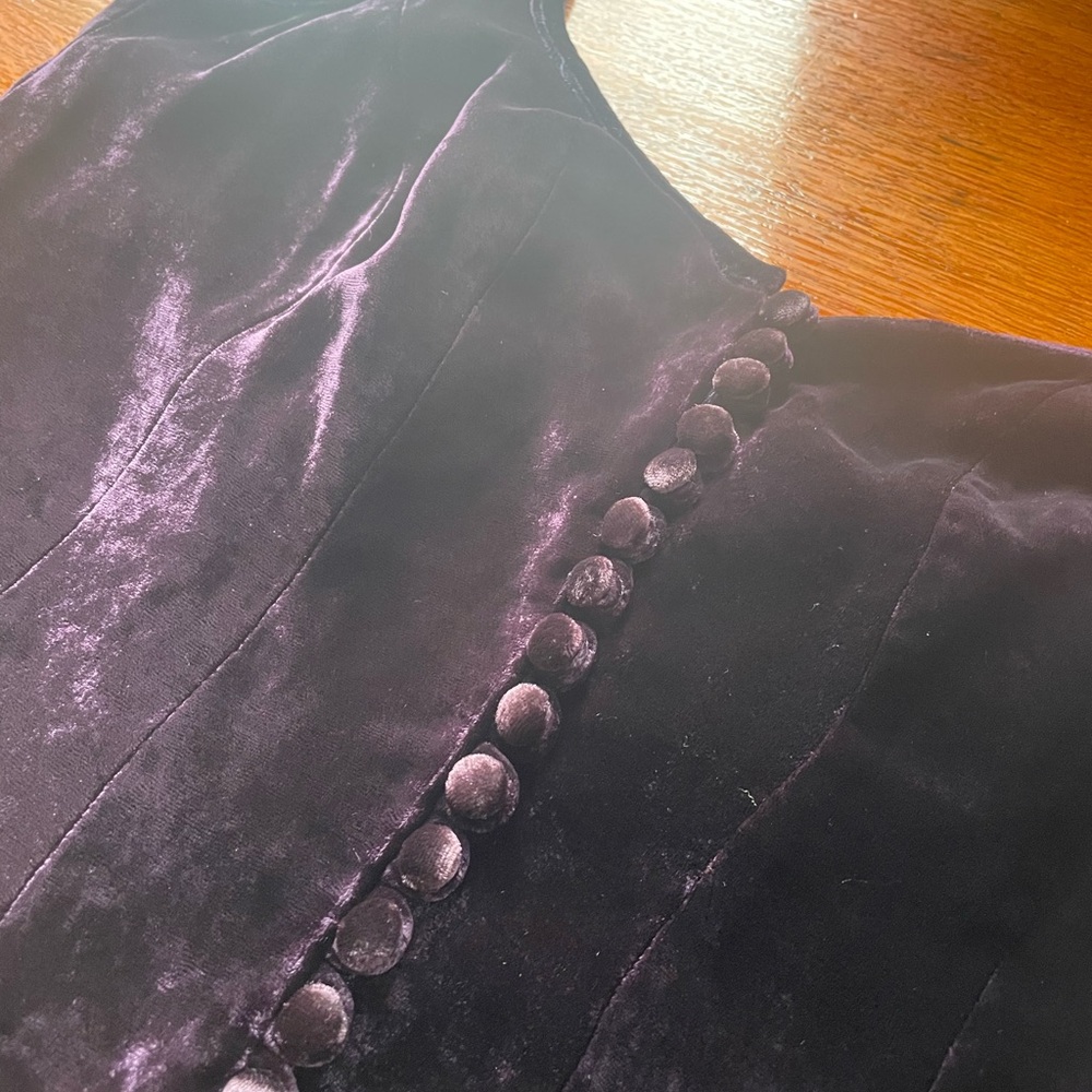 Corrine Sarrut Cropped Velvet Bustier - Picture 7 of 16